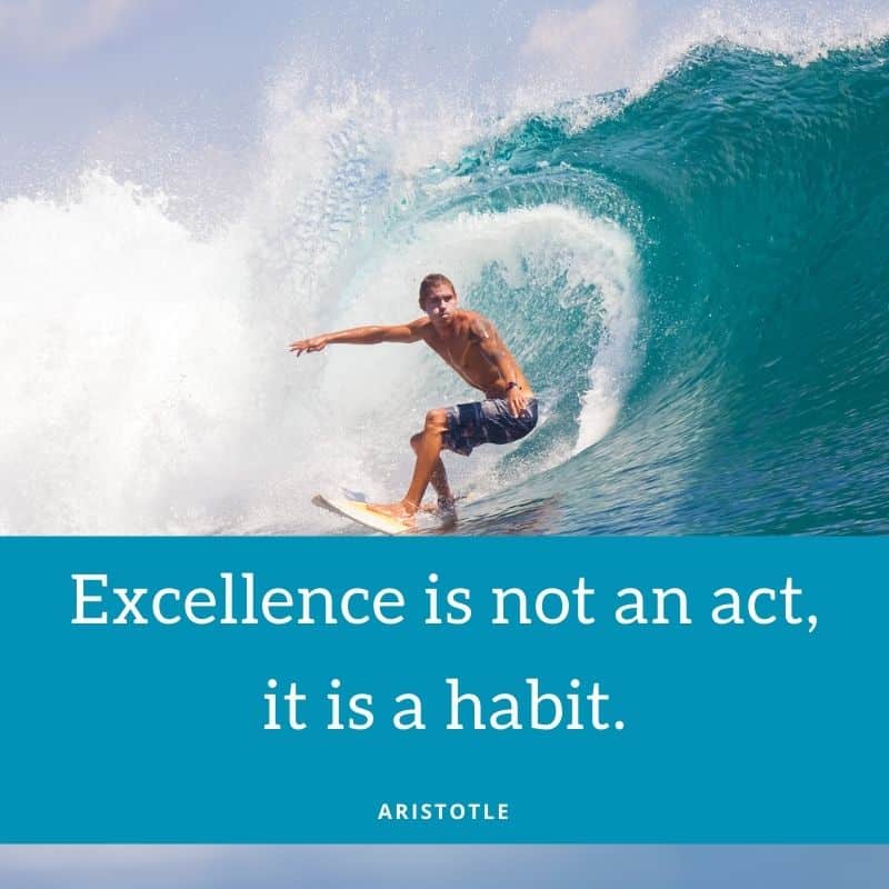 Excellence is not an act, it is a habit. - ARISTOTLE