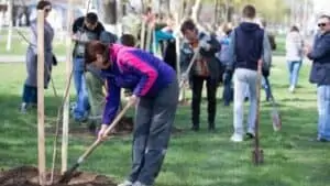 team building activities for companies