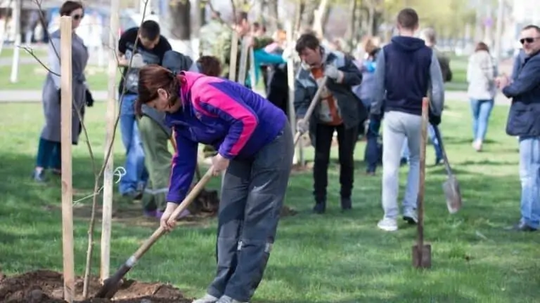 team building activities for companies