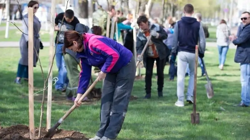 team building activities for companies