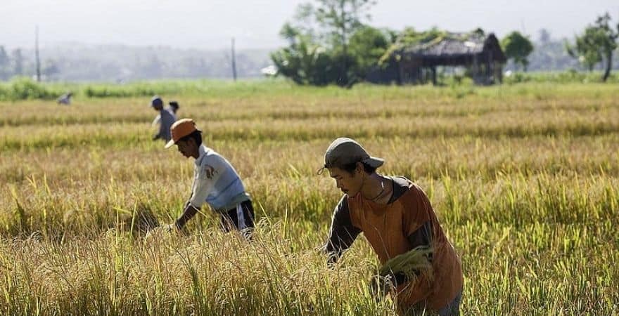 Masikap = Filipino values