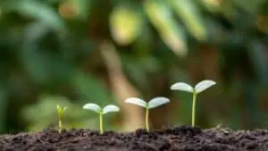 Growth mindset