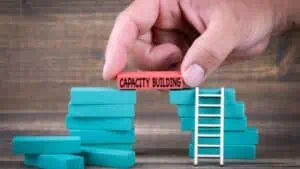 invest in capacity building