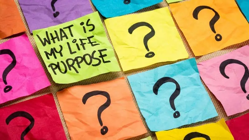 questions about life
