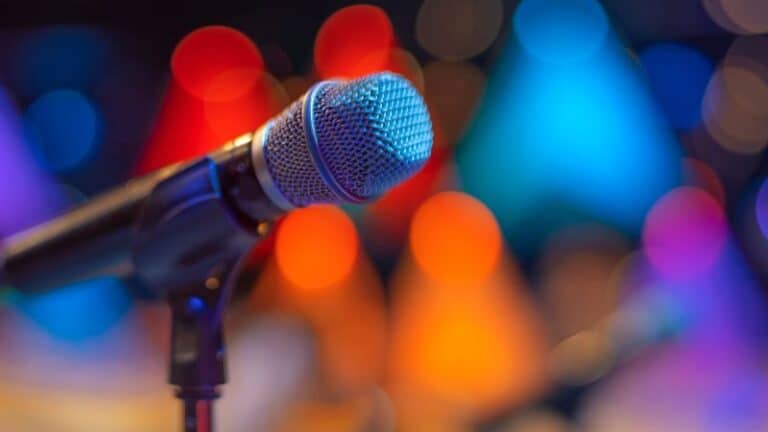 elbi professional speakers