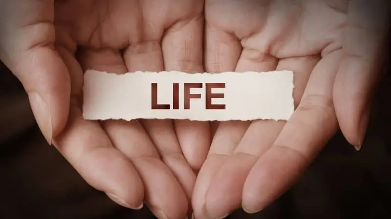 speeches about life