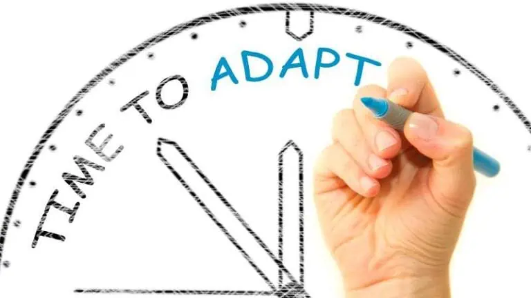 adaptability