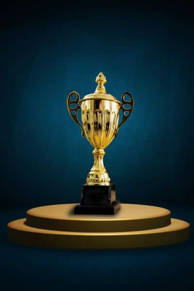 a trophy is a form of an award which is an extrinsic motivation