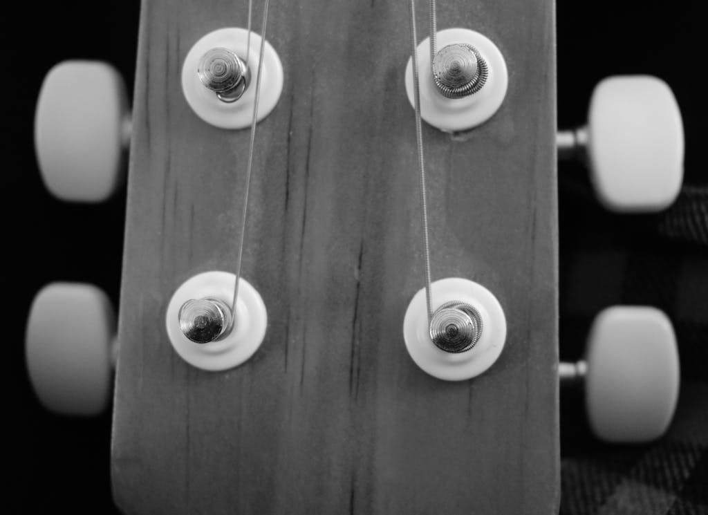 Photo by Berna T. Monochrome close-up of a guitar headstock highlighting tuning pegs.